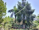 3 BHK Flat for Sale in Krishnarajapuram