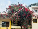 5 BHK Independent House for Sale in Hennur Road