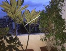 3 BHK Duplex Flat for Rent in Vartur