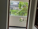 4 BHK Duplex Flat for Rent in Kottivakkam