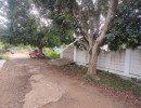 3 BHK Independent House for Sale in Bogadhi