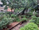 3 BHK Flat for Rent in Thiruvanmiyur