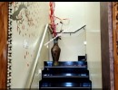 4 BHK Duplex House for Sale in Manasi Nagar