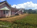  BHK Independent House for Sale in Ooty