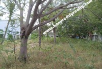 Coimbatore Real Estate Properties Mixed-Commercial for Sale at Mettupalayam Road