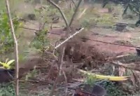 Chennai Real Estate Properties Mixed-Residential for Sale at ECR