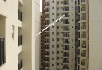 Chennai Real Estate Properties Flat for Rent at Iyyappanthangal