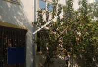 Standalone Building for Sale at Thiruvanmiyur