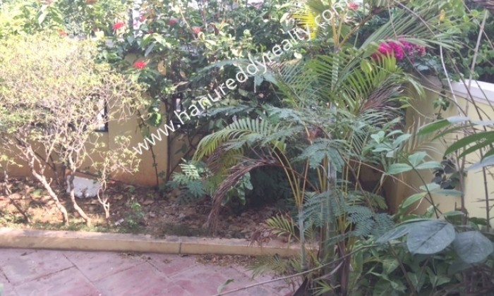 4 BHK Independent House for Rent in Jubilee Hills