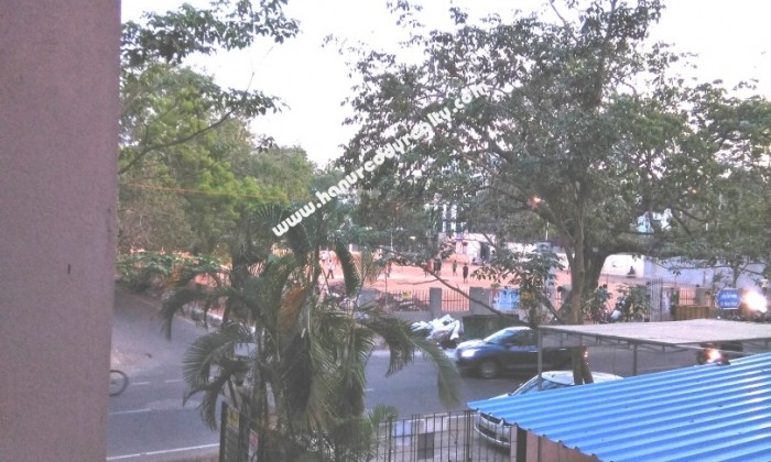 3 BHK Flat for Rent in Alwarpet