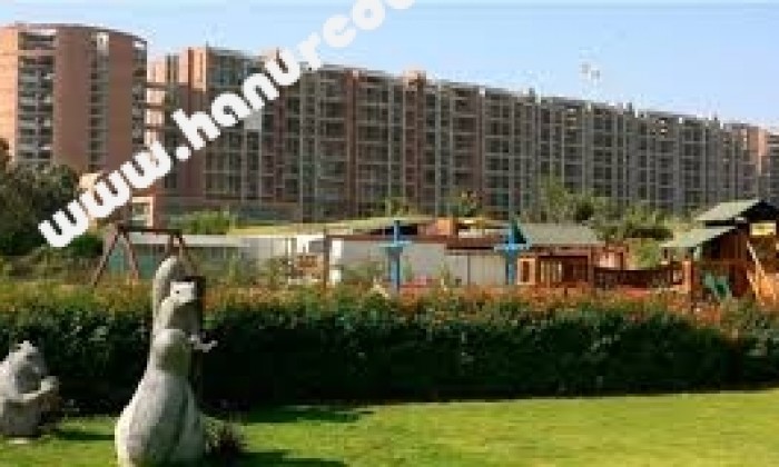 5 BHK Flat for Rent in Whitefield