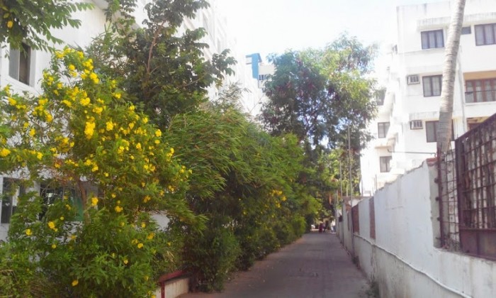 3 BHK Flat for Sale in Kilpauk