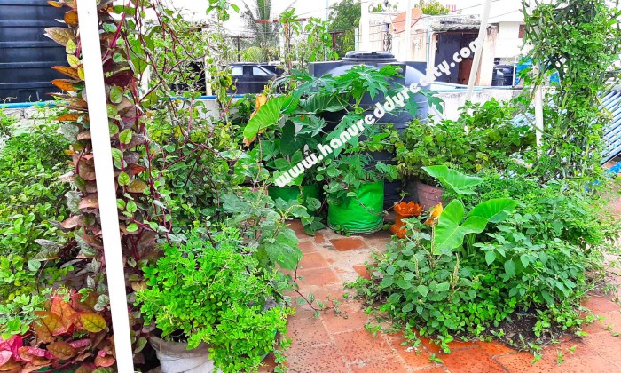 3 BHK Flat for Sale in Town Hall