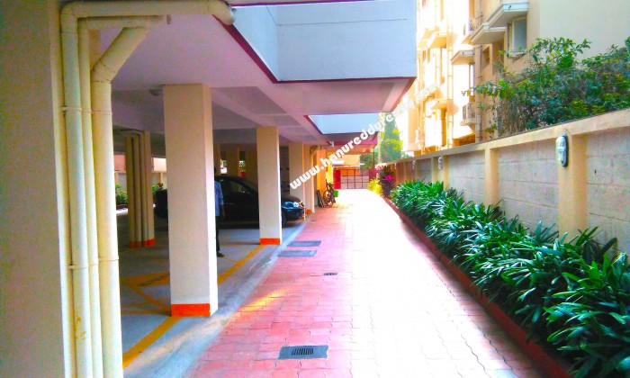 3 BHK Flat for Sale in Saibaba Colony