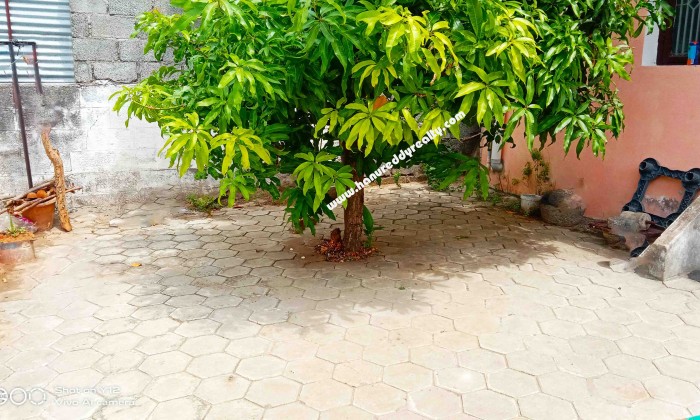 2 BHK Independent House for Sale in Ganapathy