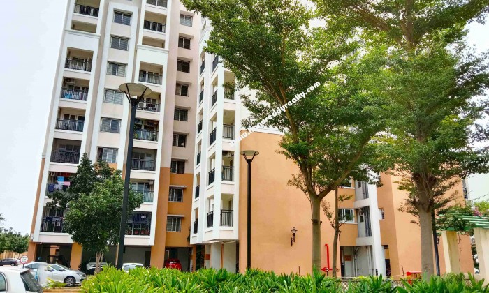 3 BHK Flat for Sale in Trichy Road