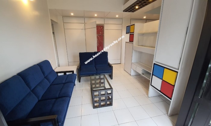 1 BHK Flat for Rent in Bhosale Nagar