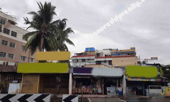 3 BHK Independent House for Sale in R S Puram