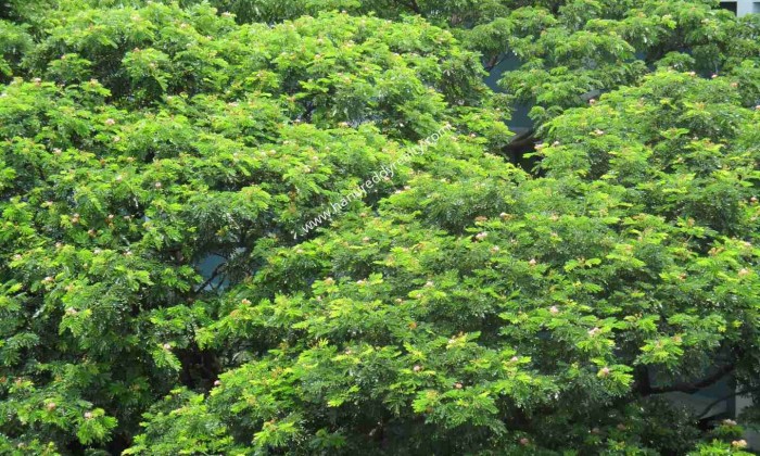 4 BHK Flat for Sale in Kotturpuram
