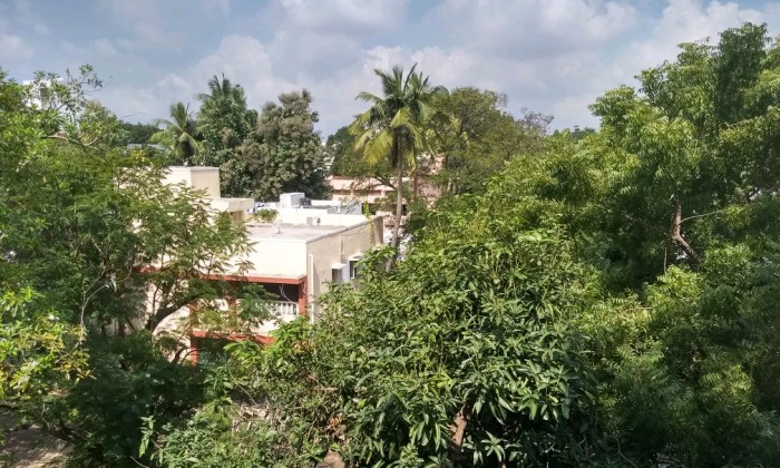 2 BHK Flat for Rent in Anna Nagar East