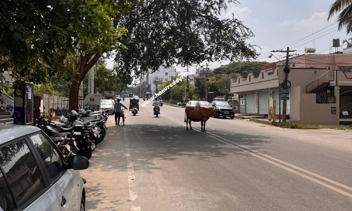 3 BHK Independent House for Sale in Vijayanagar