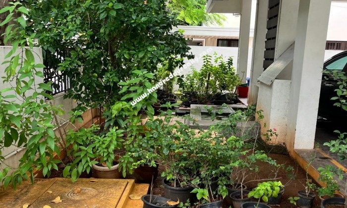 3 BHK Flat for Sale in Nandanam