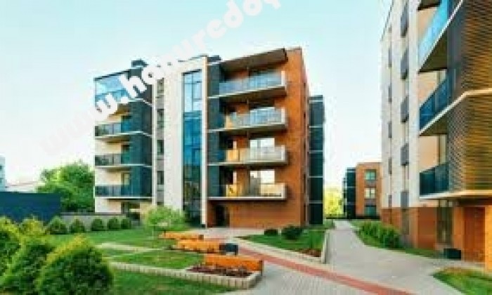  BHK Flat for Sale in Anna Nagar West