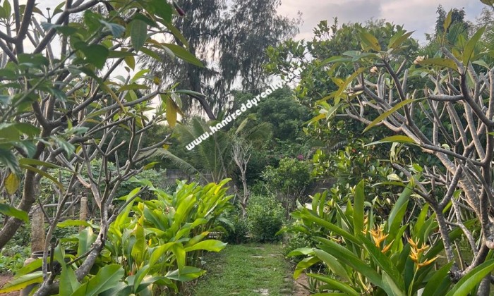 3 BHK Independent House for Sale in ECR