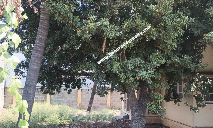 3 BHK Independent House for Sale in Thadagam Road