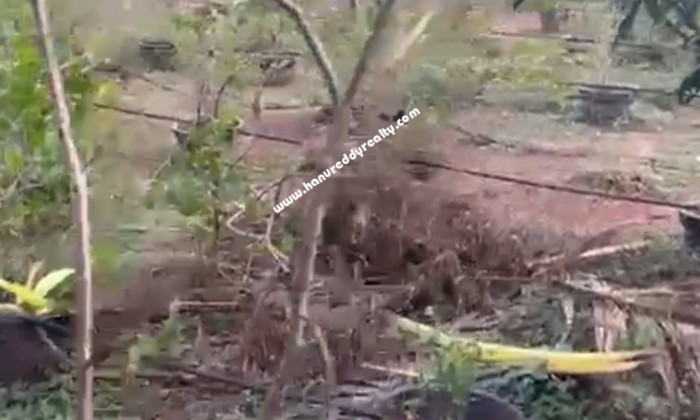  BHK Mixed-Residential for Sale in ECR