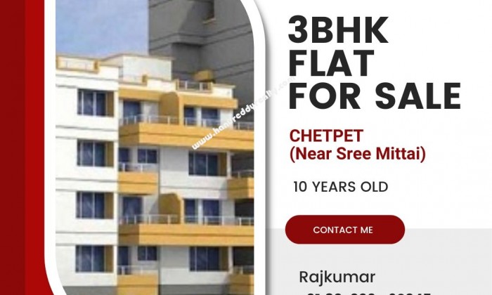 3 BHK Flat for Sale in Chetpet