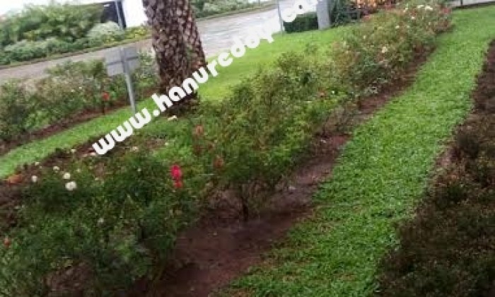2 BHK Flat for Sale in Hinjewadi
