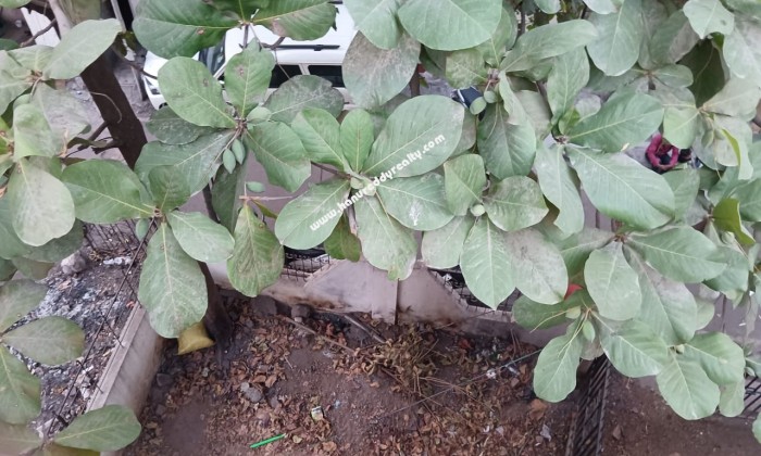 4 BHK Row House for Sale in Kharadi