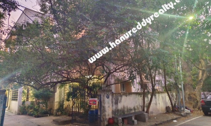 3 BHK Flat for Sale in Mylapore