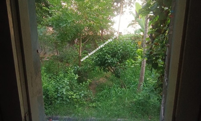  BHK Independent House for Sale in T.Nagar