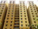 3 BHK Flat for Rent in Thanisandra