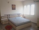 3 BHK Flat for Rent in Kondapur