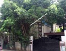 10 BHK Independent House for Sale in Kodambakkam