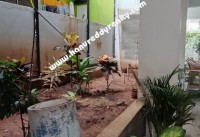 Hyderabad Real Estate Properties Office Space for Sale at Manikonda