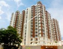 3 BHK Flat for Sale in Nungambakkam