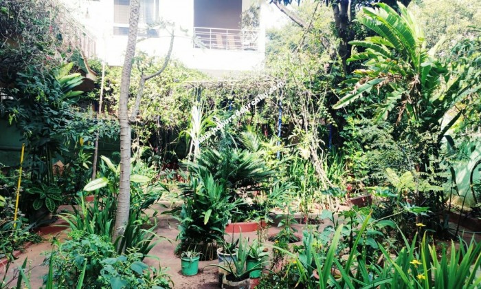 4 BHK Independent House for Rent in Indiranagar